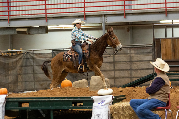 Mule&FuturityR2-5