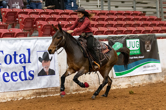 Mule&FuturityR2-112