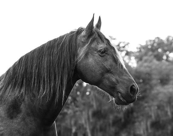 0G1A9007-Edit