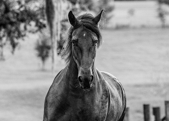 0G1A8989-Edit