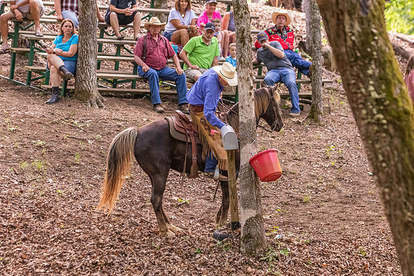 HodgesRace-6597