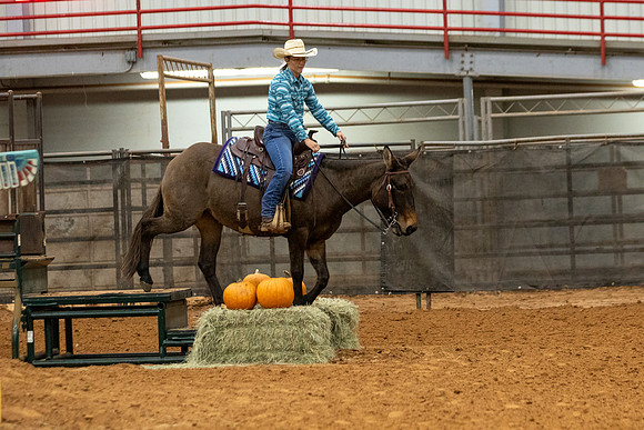 Mule&FuturityR2-36