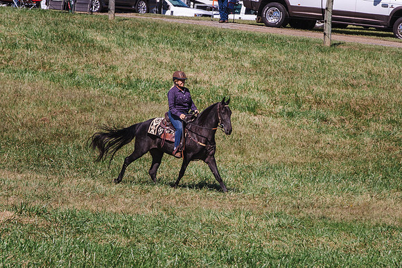 Terri-1724