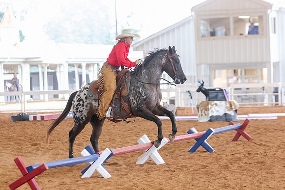 EXCARegionals-1035