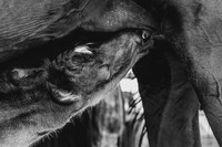 IMG_8979