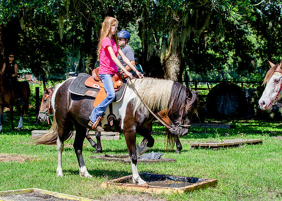 IMG_9492