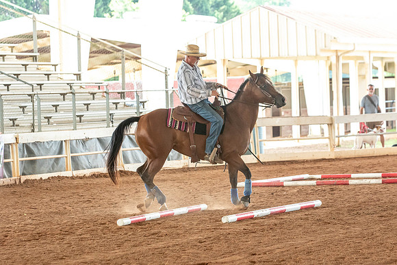 Gainesville-5511