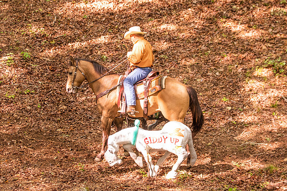 HodgesRace-5212