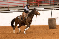 Mustang-1295