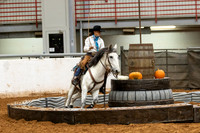 Mustang&MuleR1-425