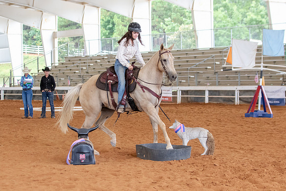EXCARegionals-2488