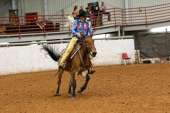Mule&FuturityR2-198