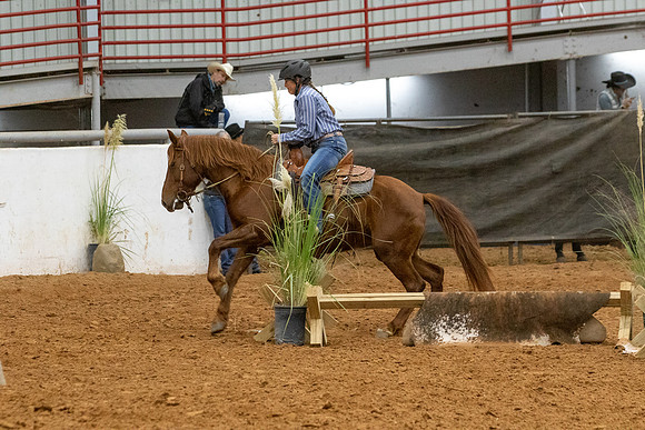 MustangR1-0880