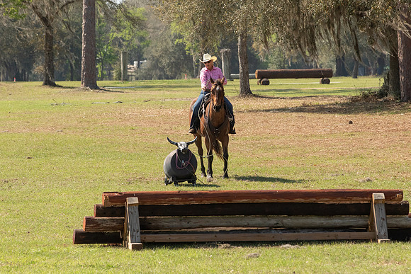 EXCAOcala-8036