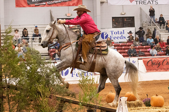Mustang-5174