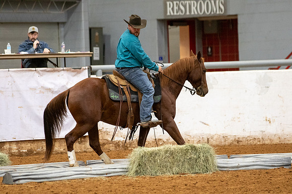 Mule&FuturityR2-363