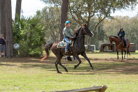 Bre-7862