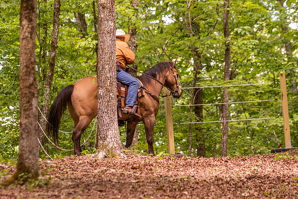 HodgesRace-6353