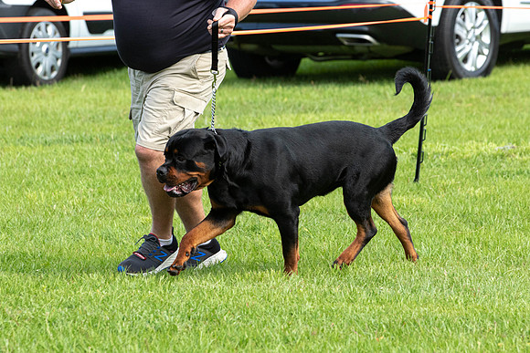 IABCAShow-3294