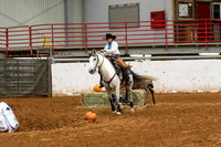 Mustang&MuleR1-416