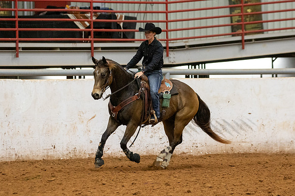 Mule&FuturityR2-521