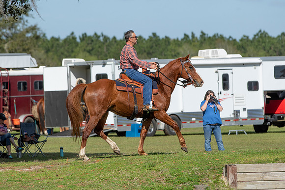 Tim-2795