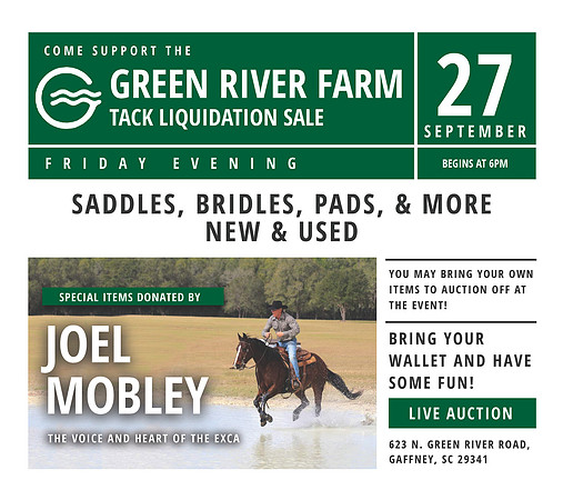 JOEL AUCTION FLYER
