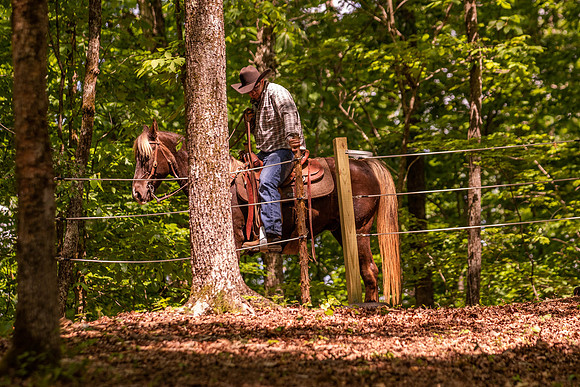 HodgesRace-6296