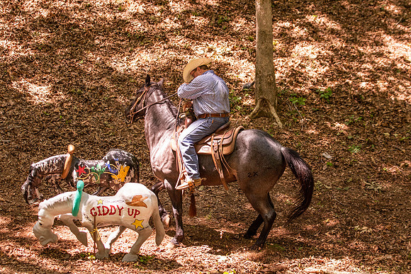 HodgesRace-5935