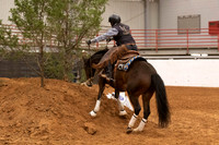 Mustang-1282