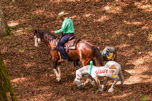 HodgesRace-5176