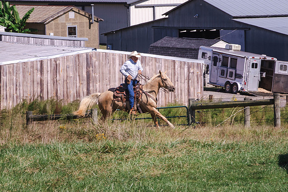 Steve-1996