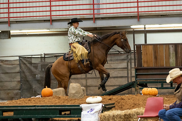 Mule&FuturityR2-343