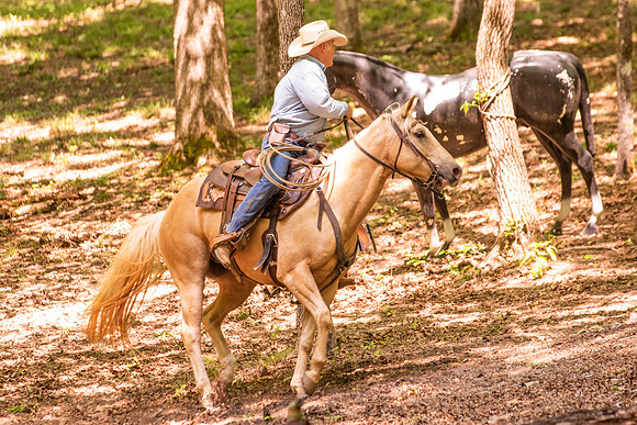 HodgesRace-5797