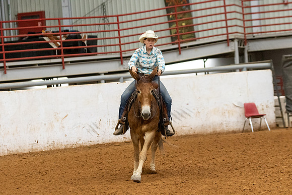 Mule&FuturityR2-27