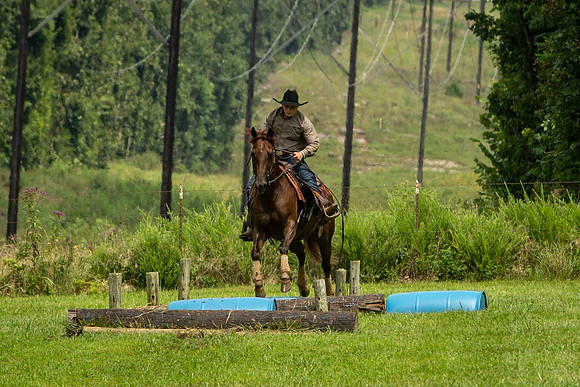 IMG_4534