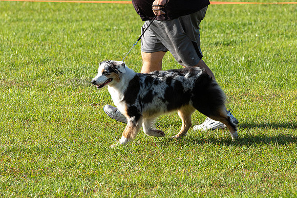 IABCAShow-3025