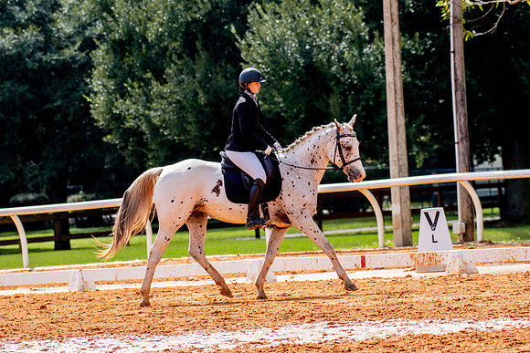 HorseShow-0736