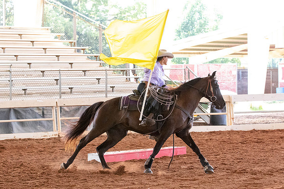 Tracy-4509