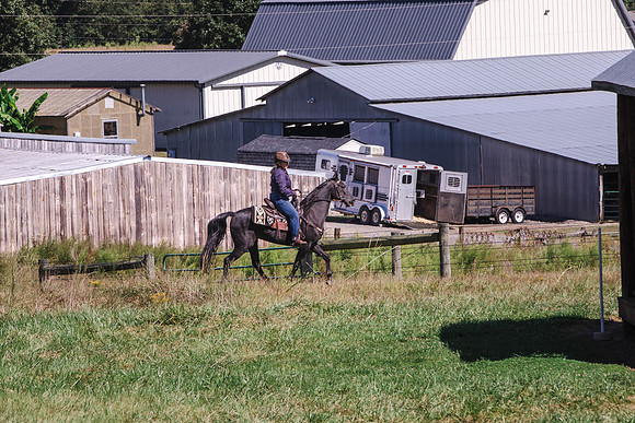Terri-1738