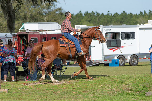 Tim-2794