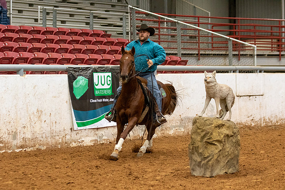 Mule&FuturityR2-361