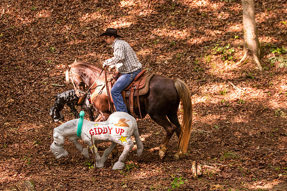 HodgesRace-5145