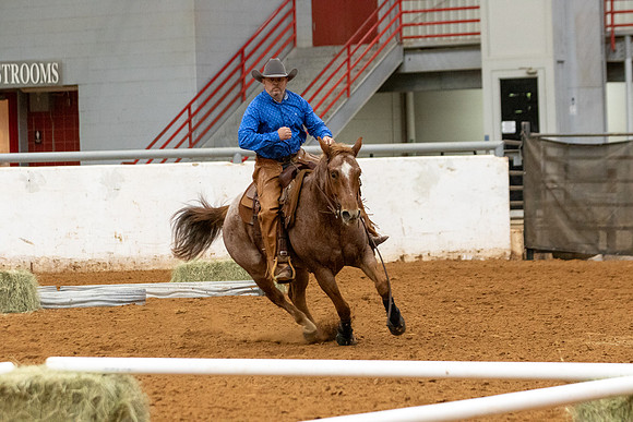 Mule&FuturityR2-447