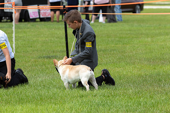 IABCAShow-3786