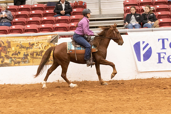 Mustang-4985