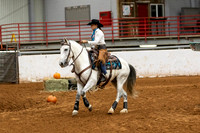 Mustang&MuleR1-420