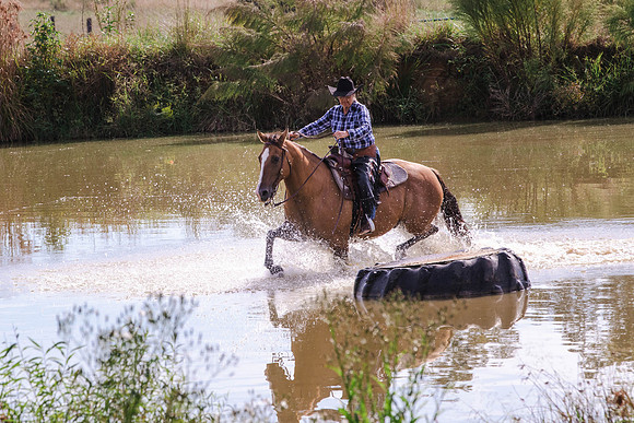 Elizabeth Faber-0325