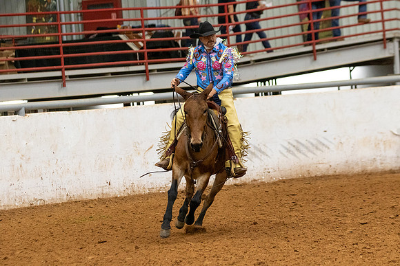 Mule&FuturityR2-197