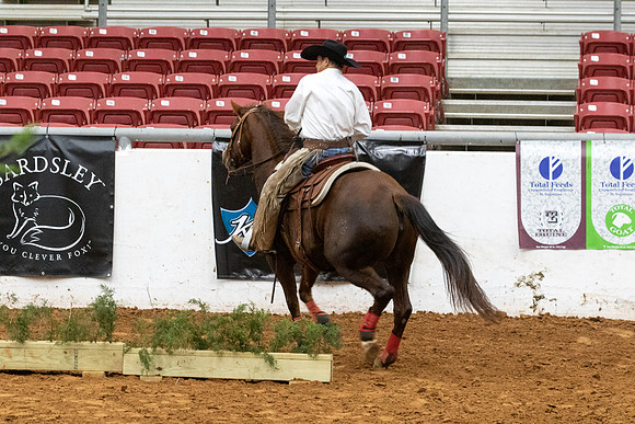 NonProR2-7398